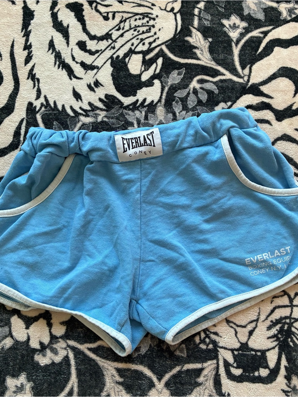 Everlast Women's Sky Blue Athletic Shorts with White Trim